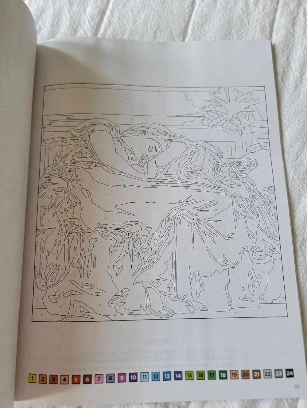 Set of 2 Coloring Books Relax & Color and Living Wonders Color Art
